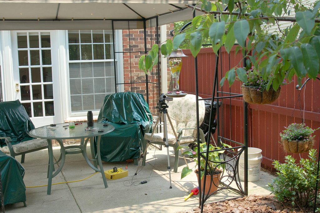 site setup