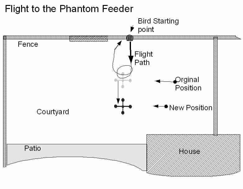 phantom feeder